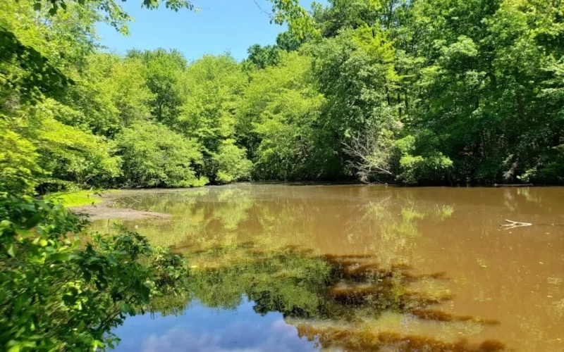 Wenonah Lake / Wenonah trails — Wenonah, NJ