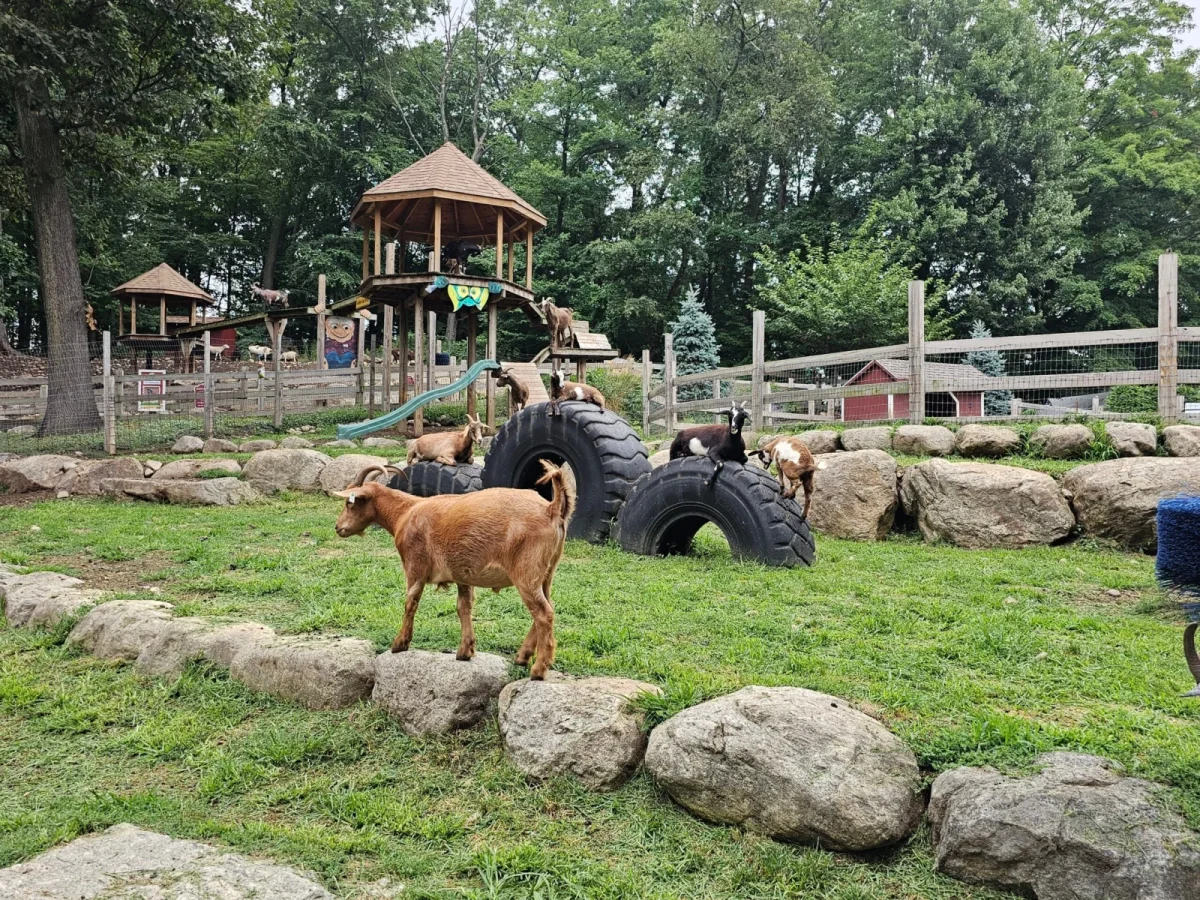 Abma’s Farm photo 1