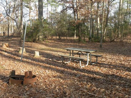 Parvin State Park — Pittsgrove, NJ