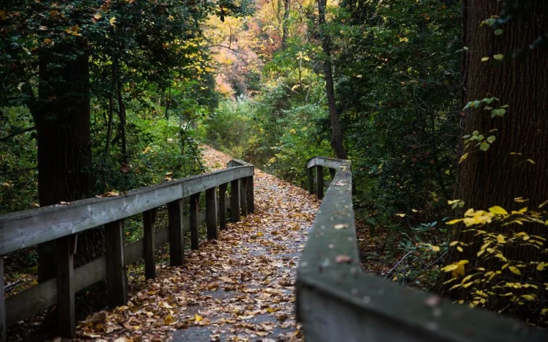 Washington Lake Park — Washington Township, NJ
