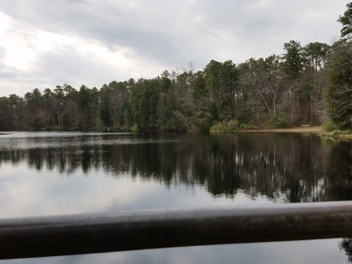 Brendan T. Byrne State Forest photo 1