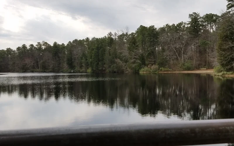 Brendan T. Byrne State Forest — New Lisbon, NJ