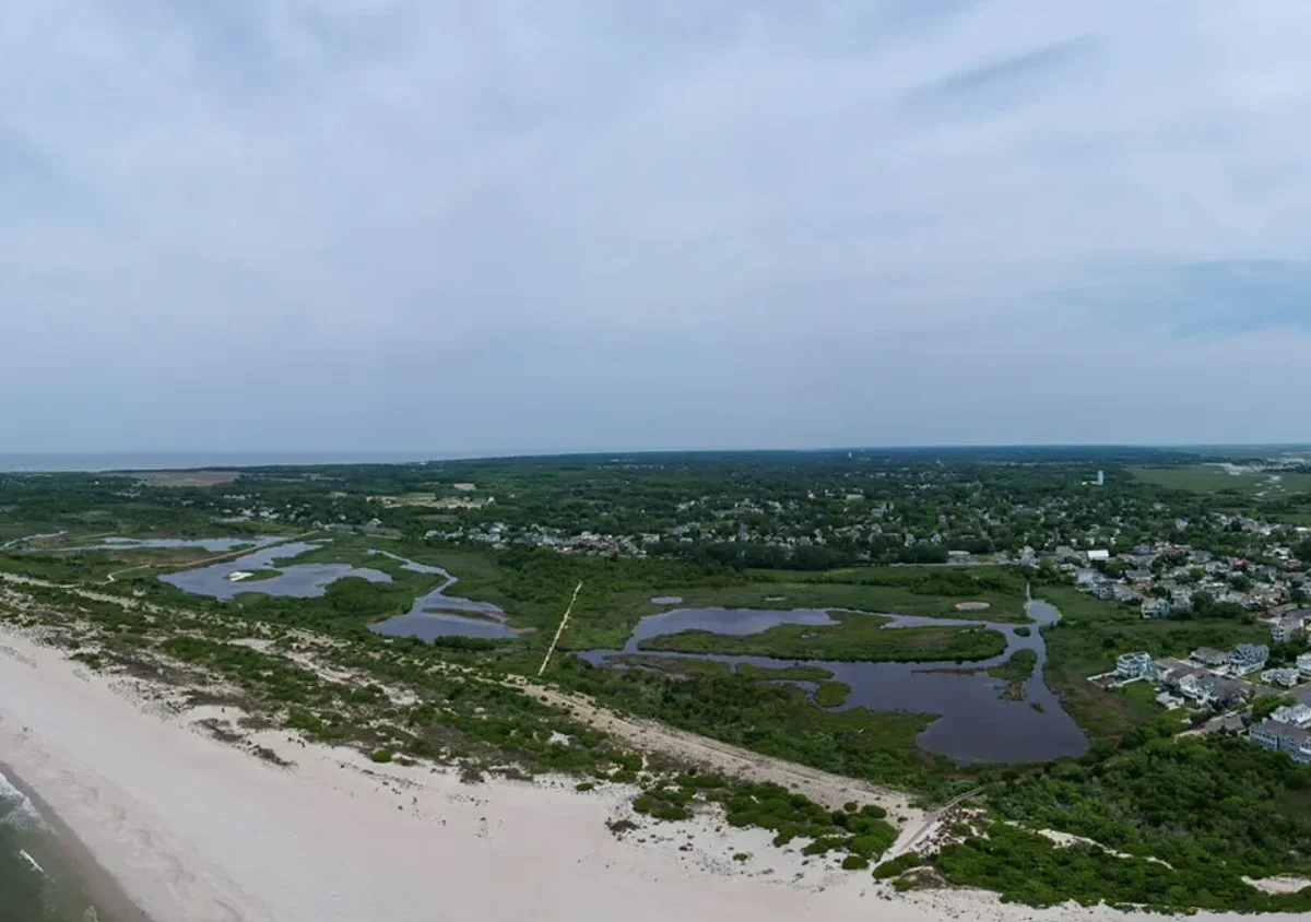 South Cape May Meadows Preserve photo 1