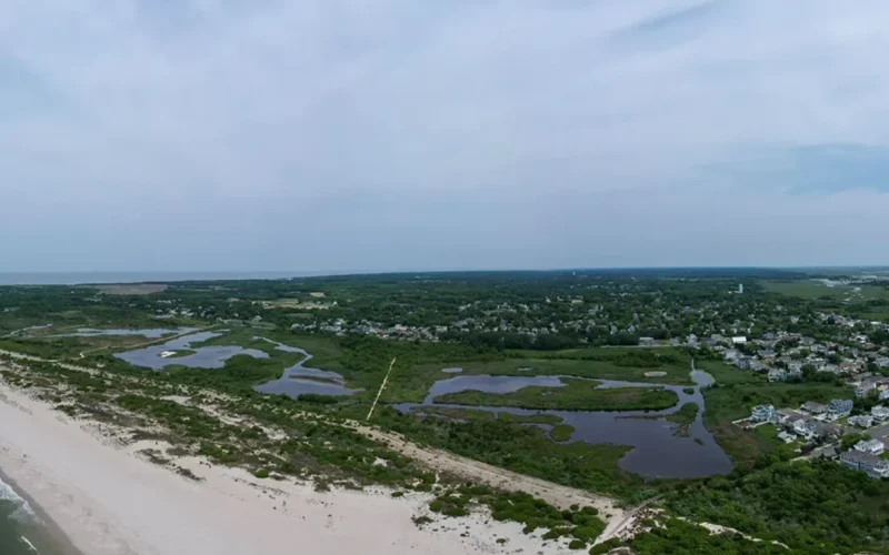 South Cape May Meadows Preserve — Cape May Point, NJ
