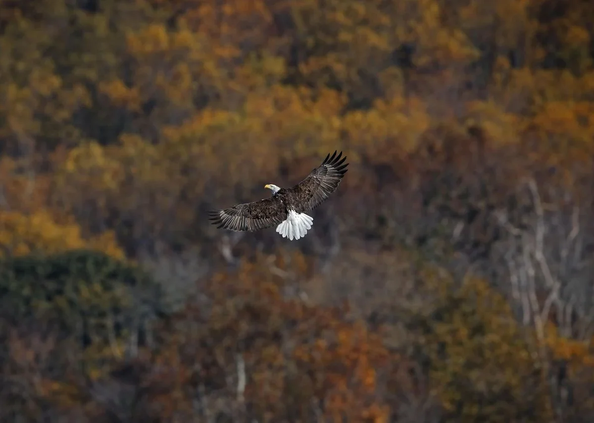 Delaware River Heritage Trail photo 1