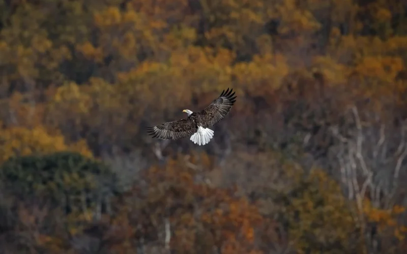 Delaware River Heritage Trail — Camden, NJ