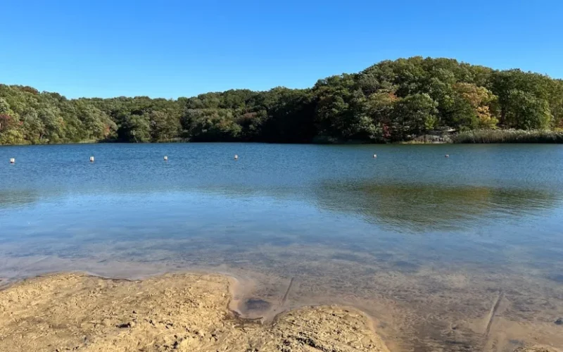 Cheesequake — boardwalk loop — Matawan, NJ