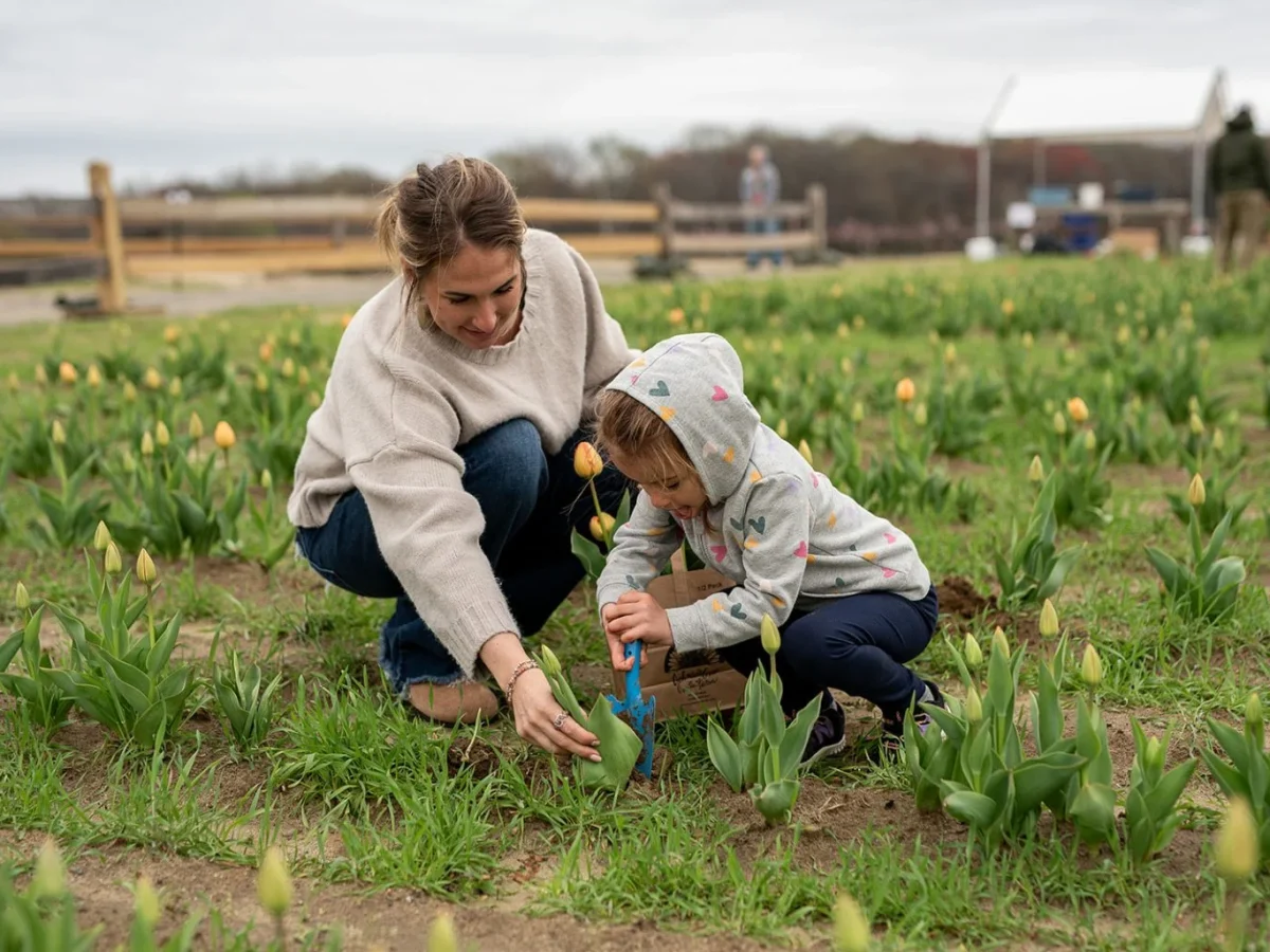 Johnson’s Corner Farm photo 1