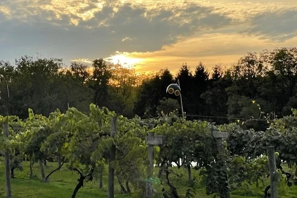 Four Sisters Winery — Belvidere, NJ