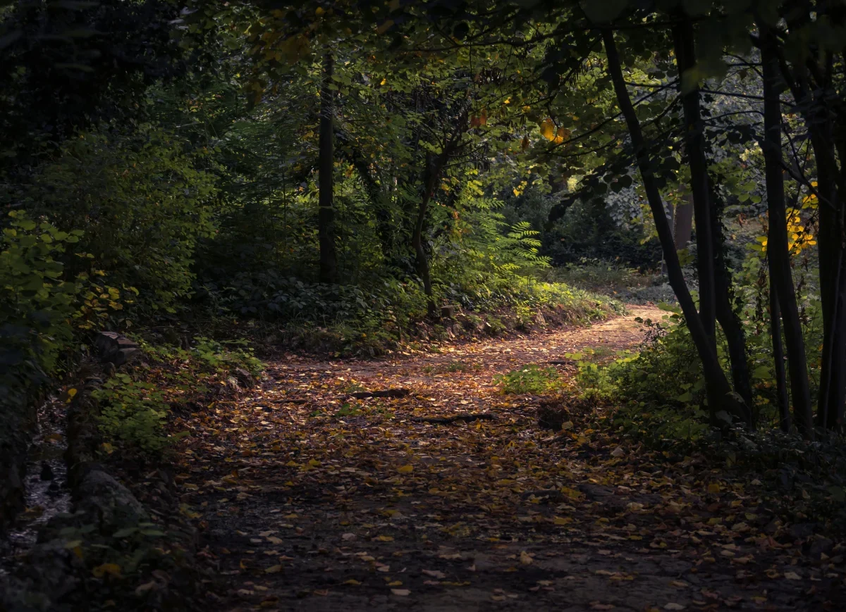 Loantaka Brook photo 1