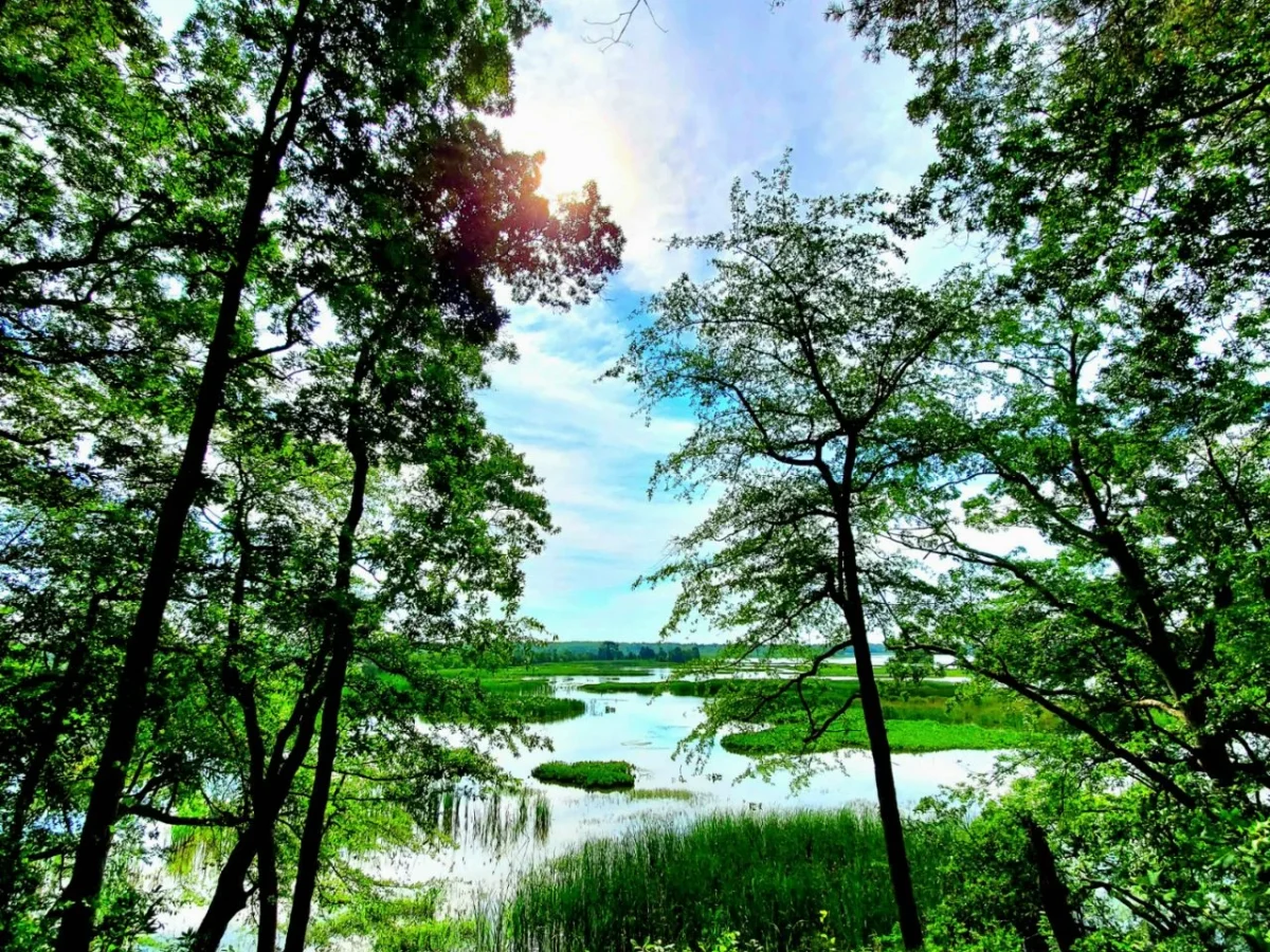 Maurice River Bluffs Preserve photo 1