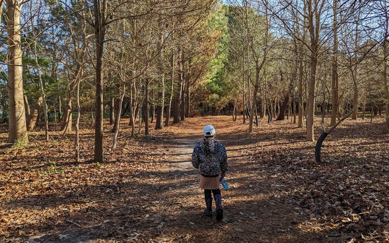Cape May Point State Park — Cape May Point, NJ