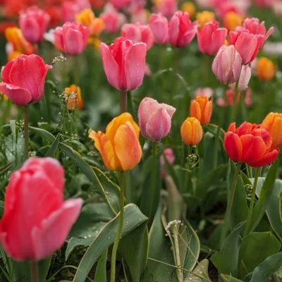 Von Thun Farms — Washington, NJ