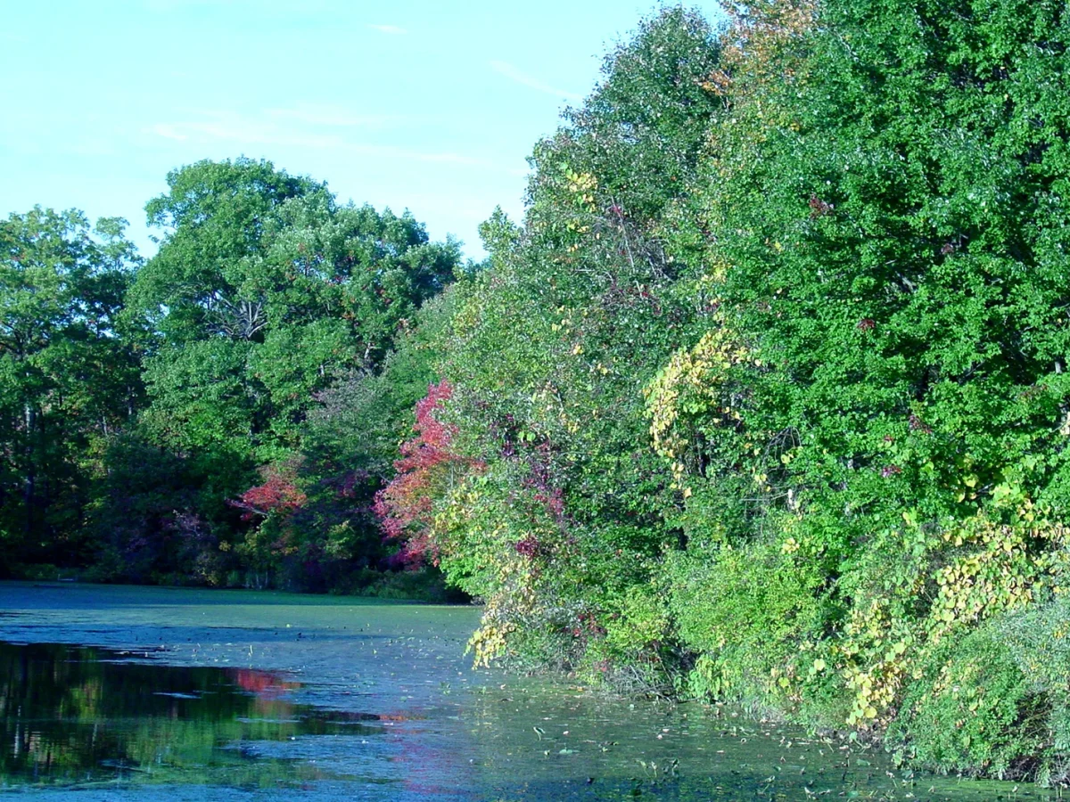 Great Swamp Outdoor Education Center photo 1
