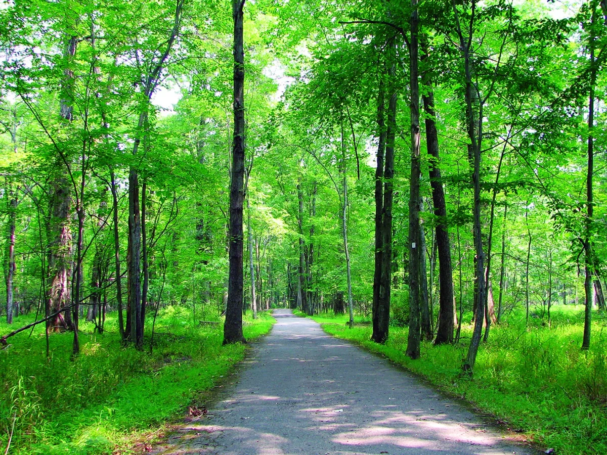 Patriots’ Path photo 1