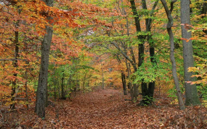 Rancocas State Park / Preserve — Mount Holly, NJ