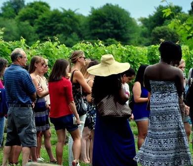 Villa Milagro Vineyards — Finesville, NJ