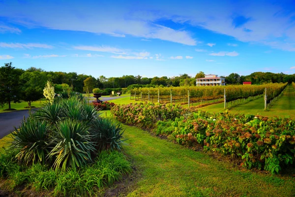 Willow Creek Winery — Cape May, NJ