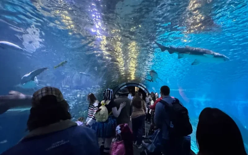 Adventure Aquarium — Camden, NJ