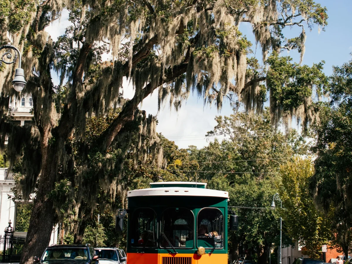 Cape May Trolley Tours (MAC) photo 1