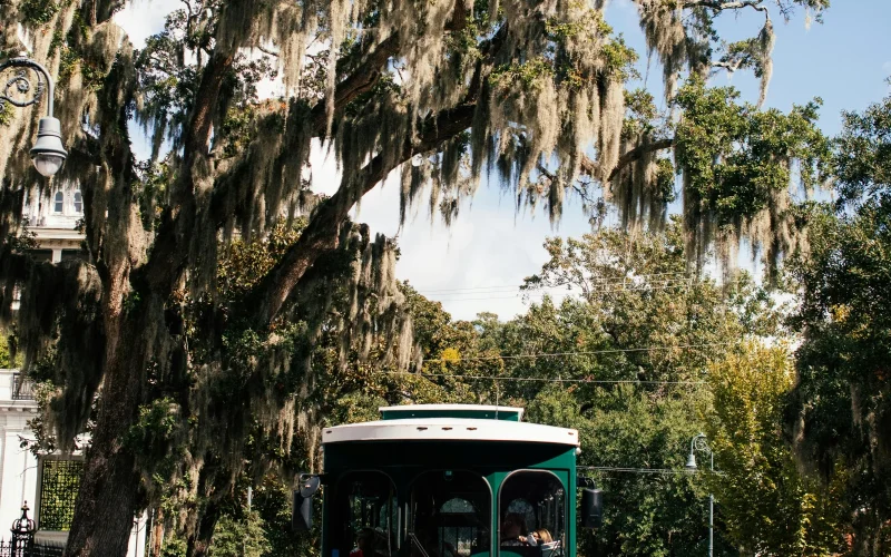 Cape May Trolley Tours (MAC) — Cape May, NJ