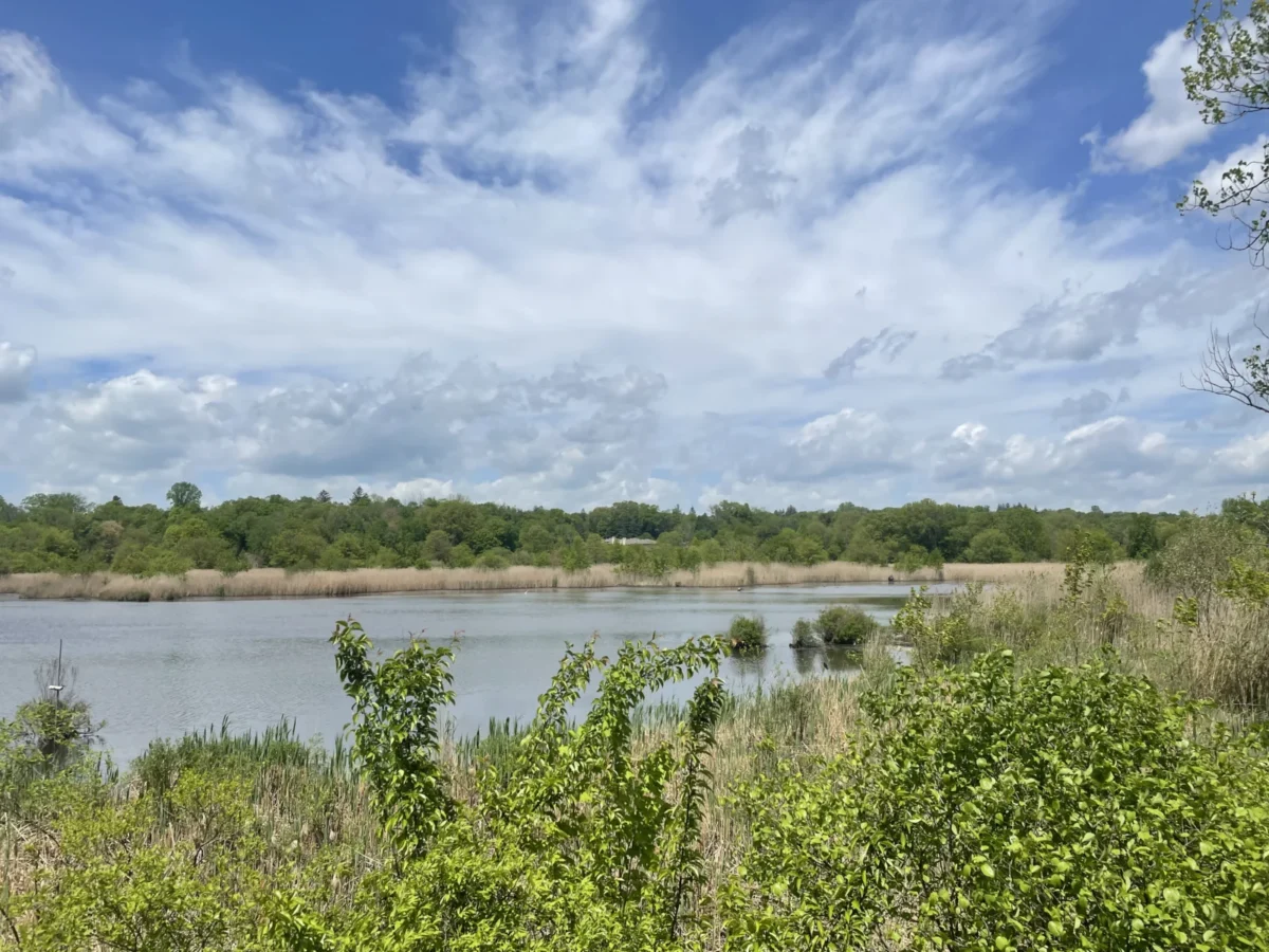 Celery Farm Natural Area in Allendale, NJ