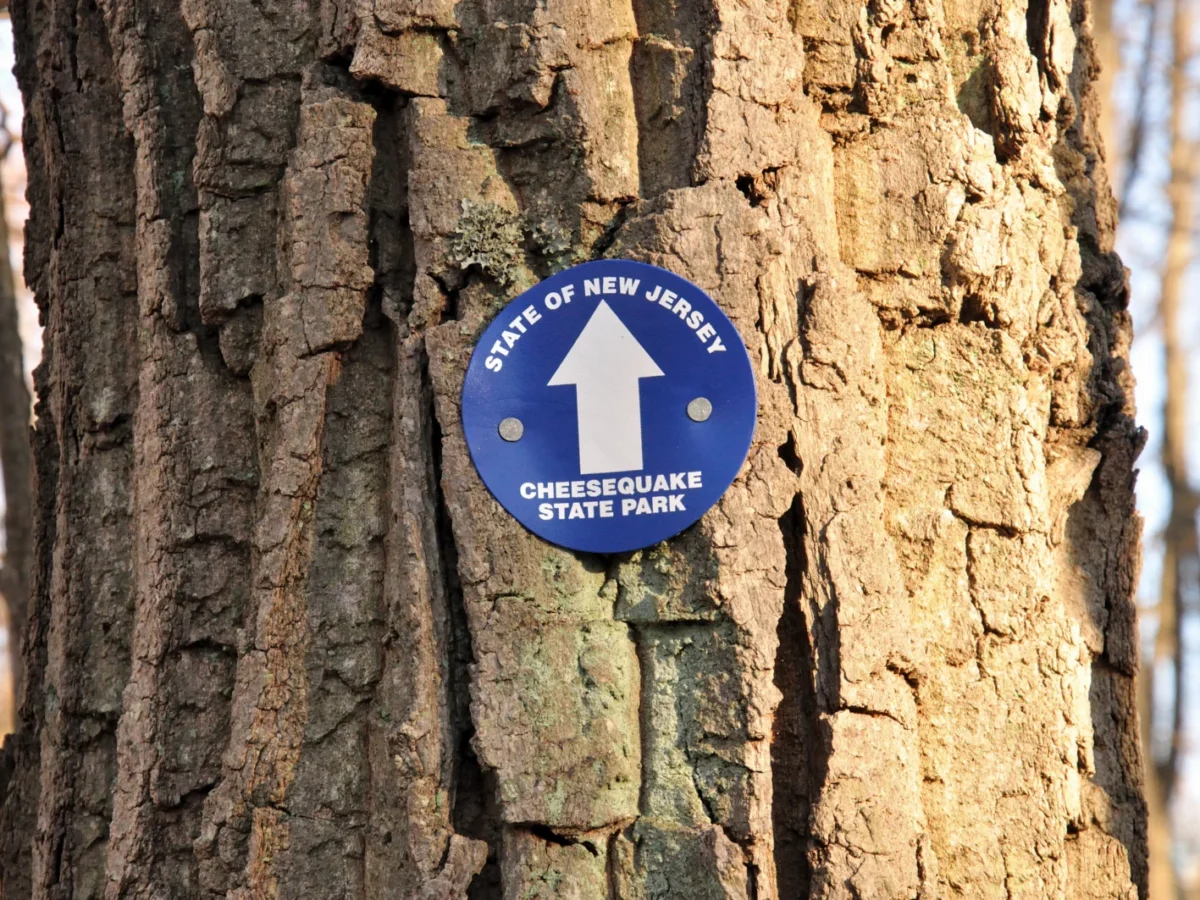 Cheesequake State Park in Matawan, NJ