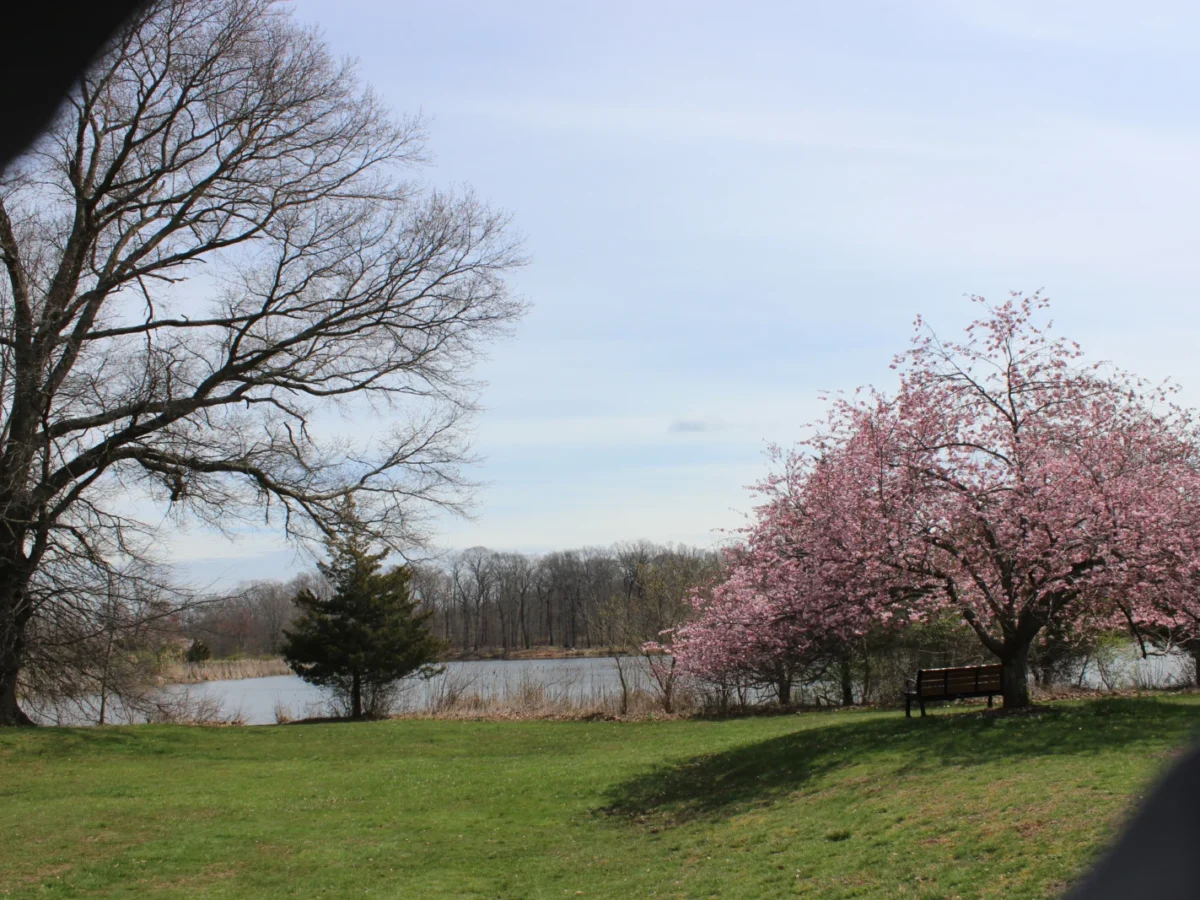 Colonial Park in Somerset, NJ