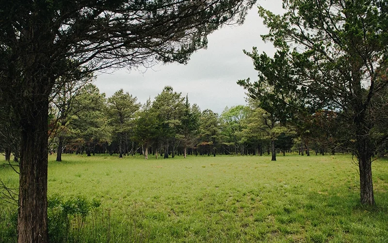 Allaire — Manasquan River area trails — Farmingdale, NJ
