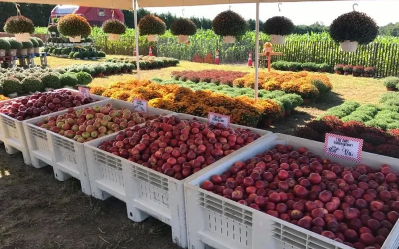 Duffield’s Farm Market — Sewell, NJ