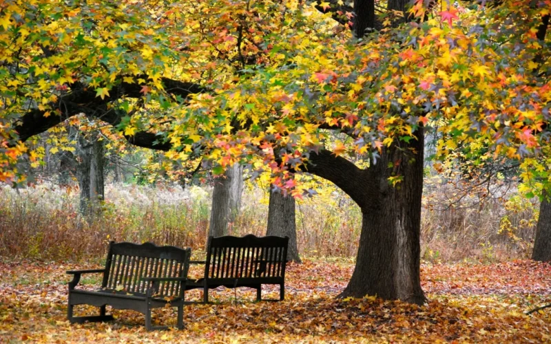 Duke Farms — Hillsborough, NJ