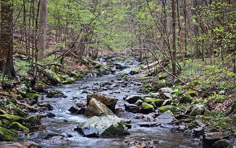 Hacklebarney State Park — Long Valley, NJ