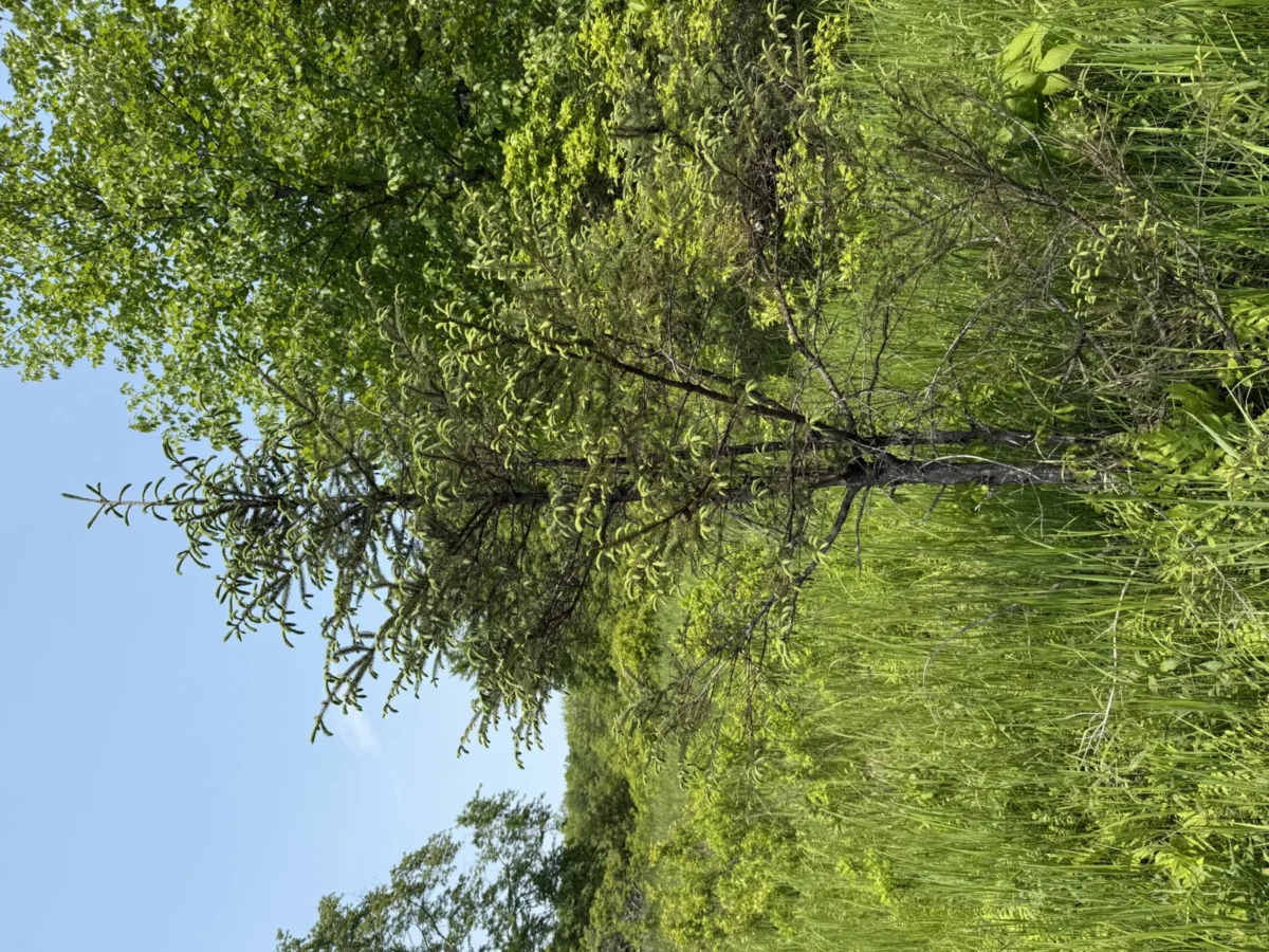 High Point State Park in Sussex, NJ