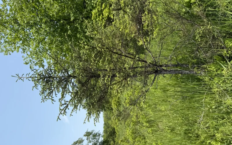 High Point State Park — Sussex, NJ