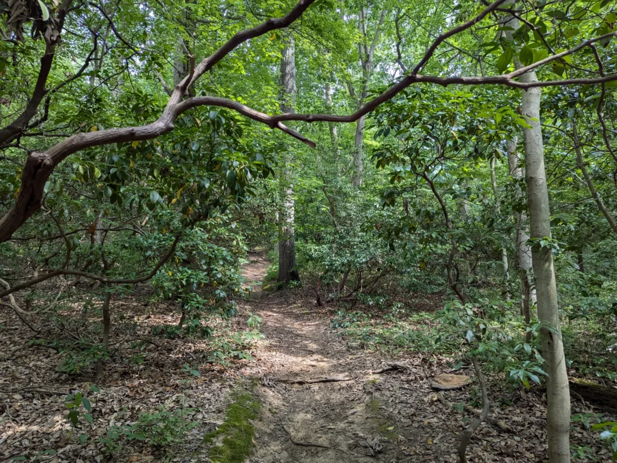 Huber Woods Park in Middletown, NJ