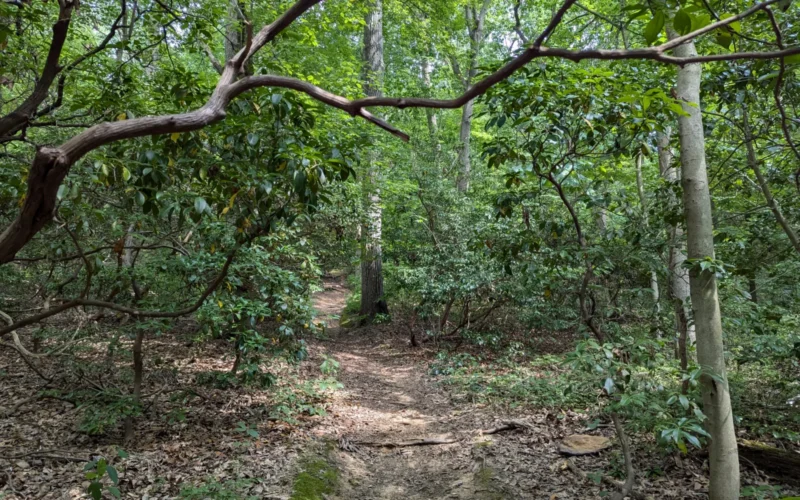 Huber Woods Park — Middletown, NJ