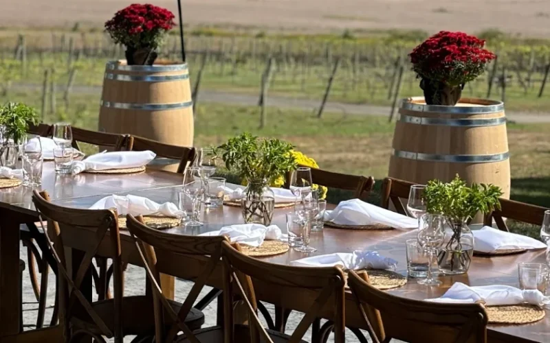 Iron Plow Vineyards — Columbus, NJ