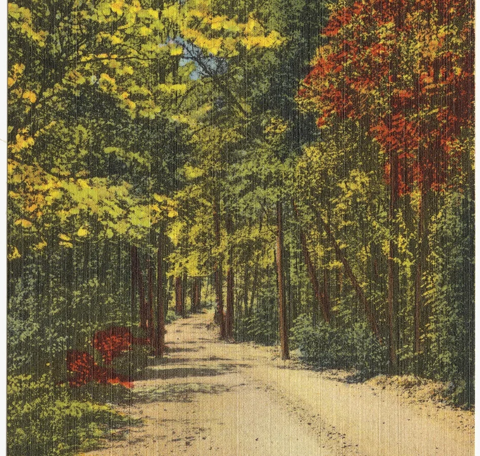 Jockey Hollow in Morristown, NJ