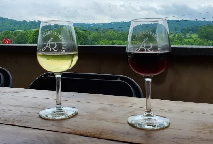 Little Ridge Vineyards — Phillipsburg, NJ