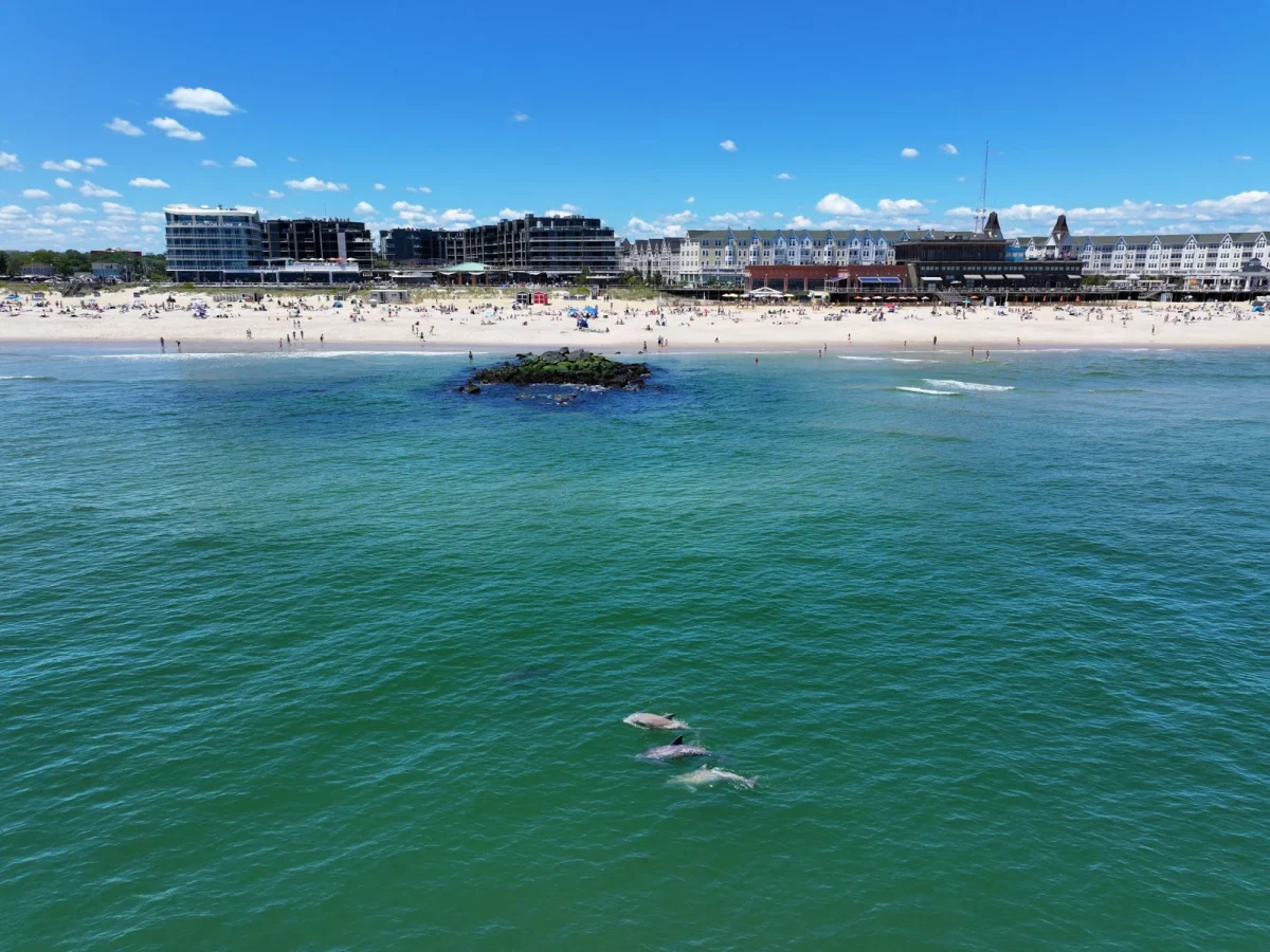 Long Branch Beach photo 1