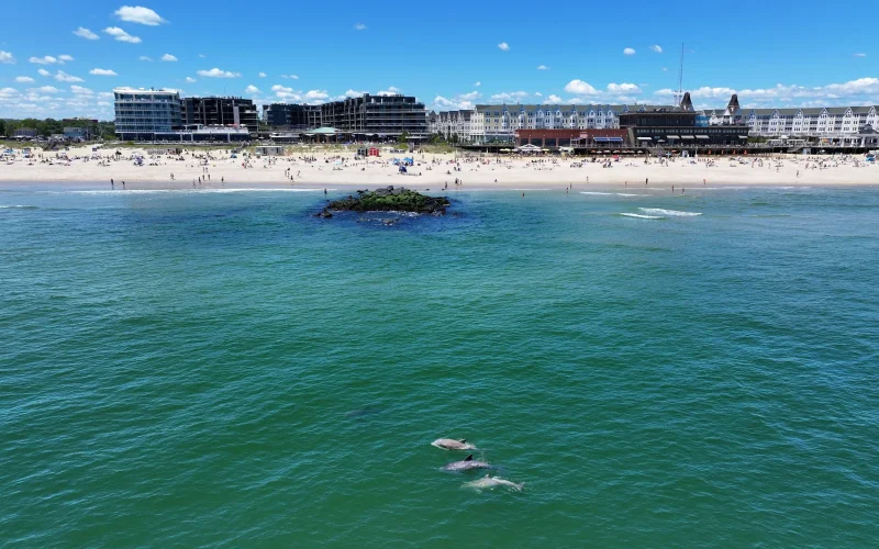 Long Branch Beach — Long Branch, NJ