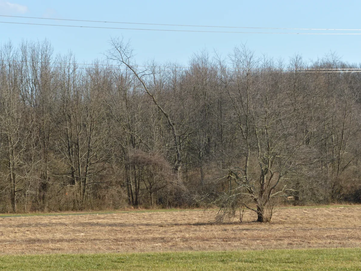 Mercer County Park in West Windsor, NJ