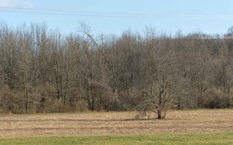 Mercer County Park — West Windsor, NJ