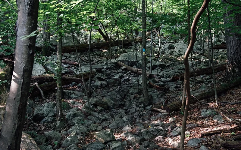 Norvin Green State Forest — Ringwood, NJ