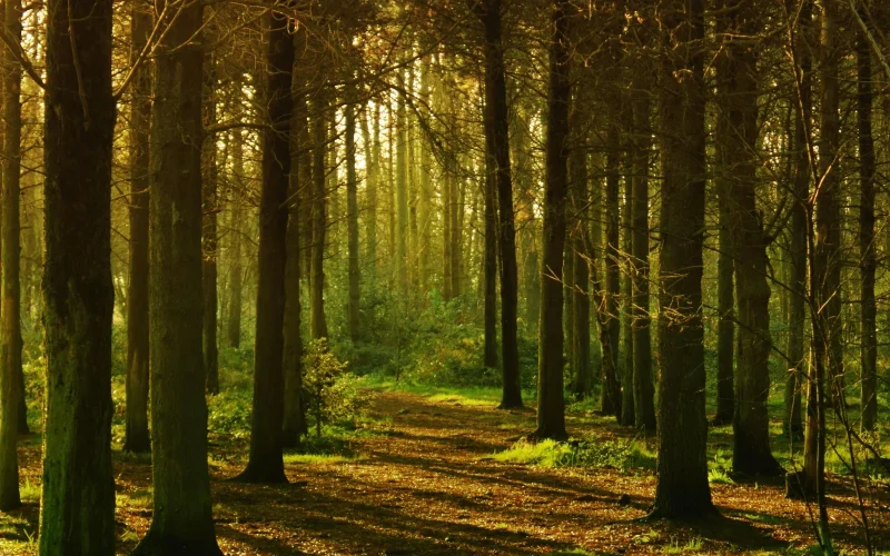 Cattus Island County Park — Toms River, NJ