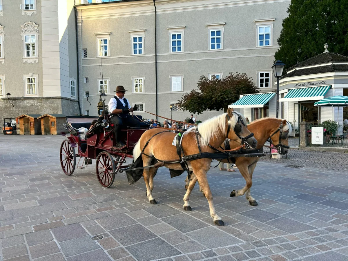 Cape May Carriage Company photo 1