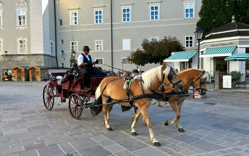 Cape May Carriage Company — Cape May, NJ