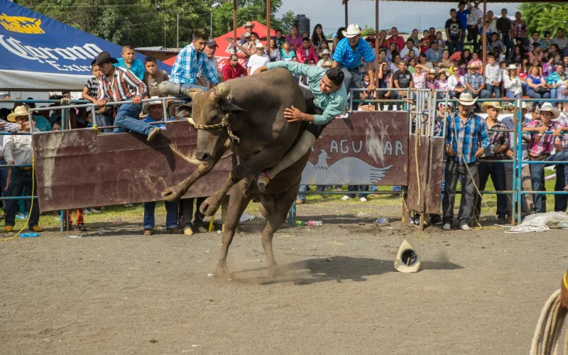 Cow Town Rodeo — Pilesgrove, NJ