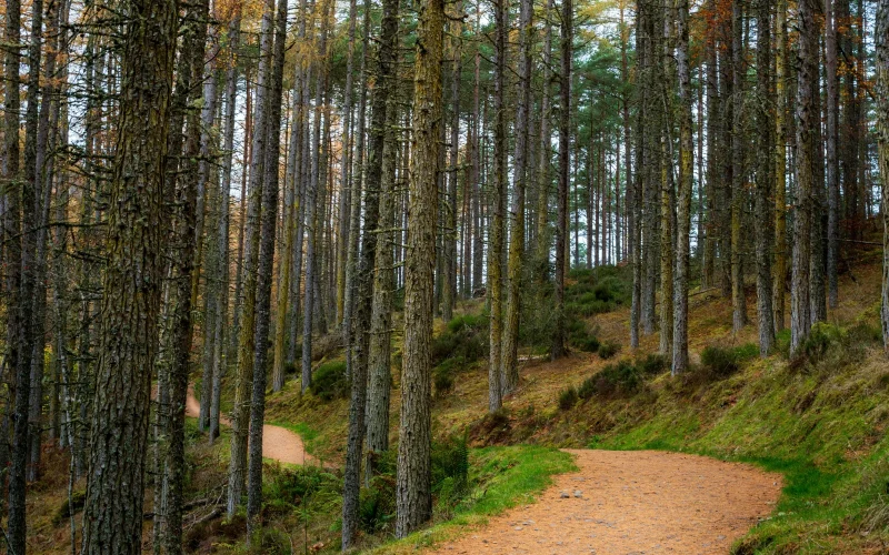 Baldpate Mountain (trail system) — Hopewell Township, NJ