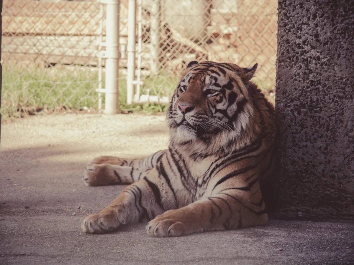Cape May County Park & Zoo photo 1